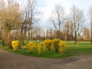 Detail on the countryside surrounding Paullo